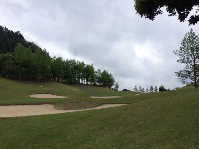 f:id:nnnaoki84:20150513101630j:image f:id:nnnaoki84:20150513101630j:image