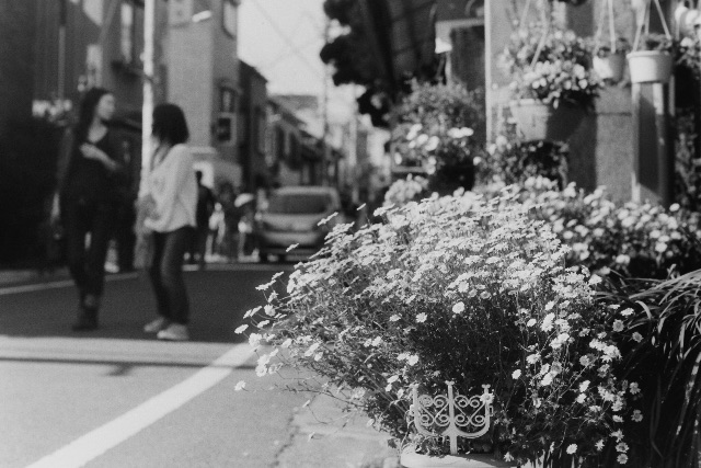 f:id:nnnaoki84:20150515091947j:image f:id:nnnaoki84:20150515091947j:image