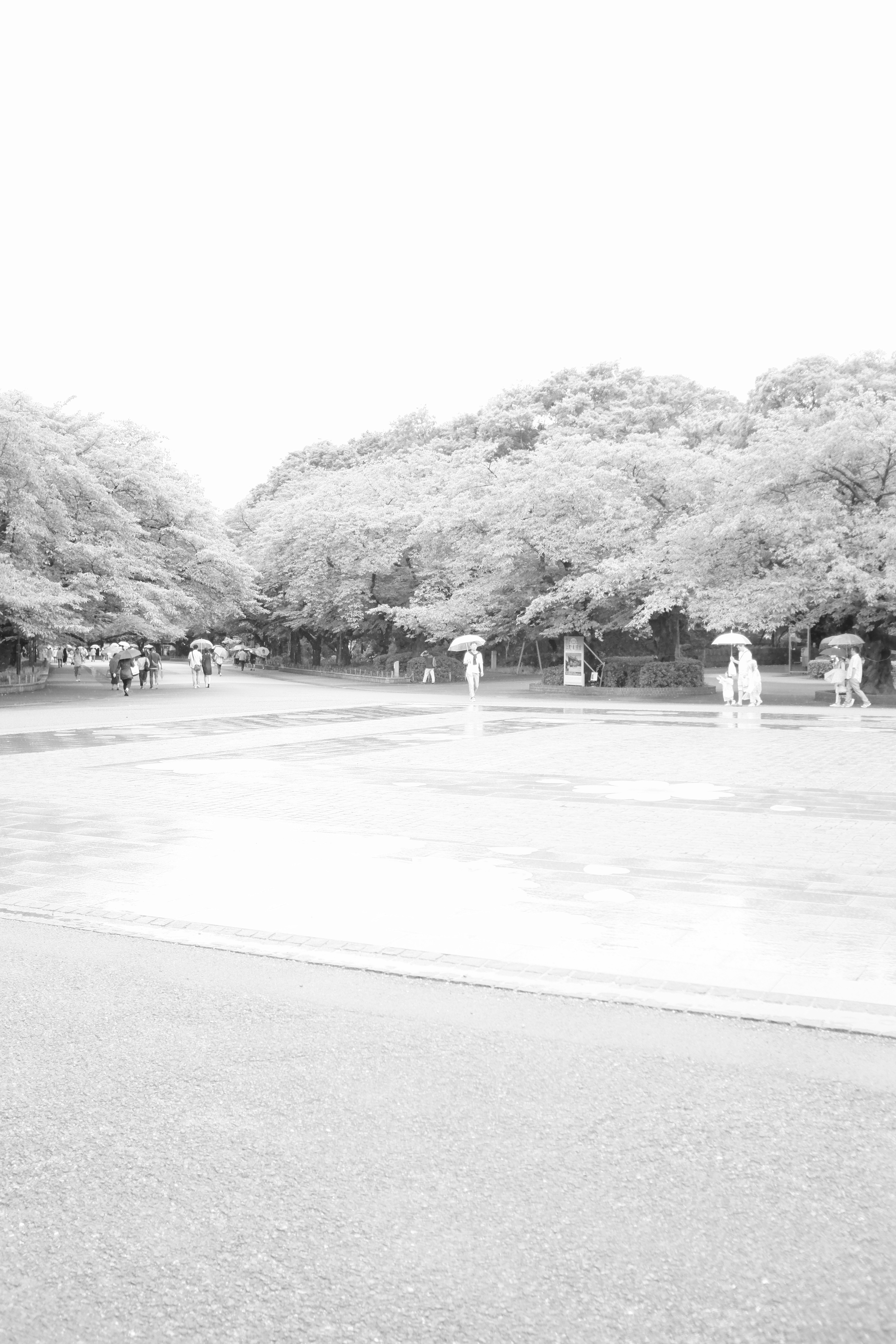 f:id:nnnaoki84:20150622085028j:image f:id:nnnaoki84:20150622085028j:image