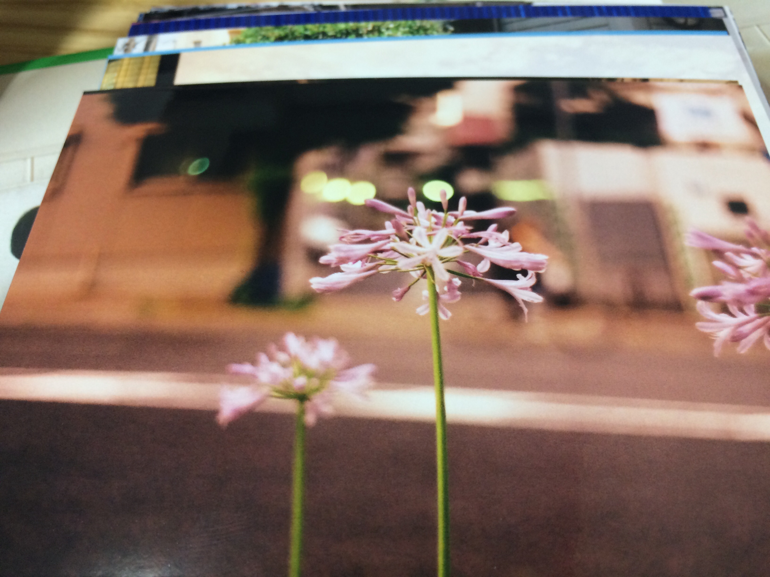 f:id:nnnaoki84:20150629123554j:image f:id:nnnaoki84:20150629123554j:image