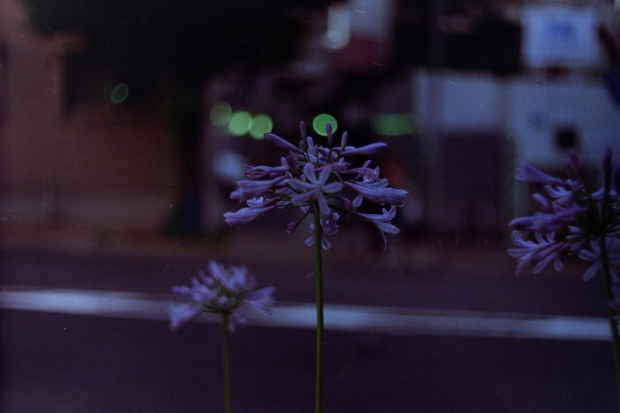 f:id:nnnaoki84:20150629125956j:image f:id:nnnaoki84:20150629125956j:image