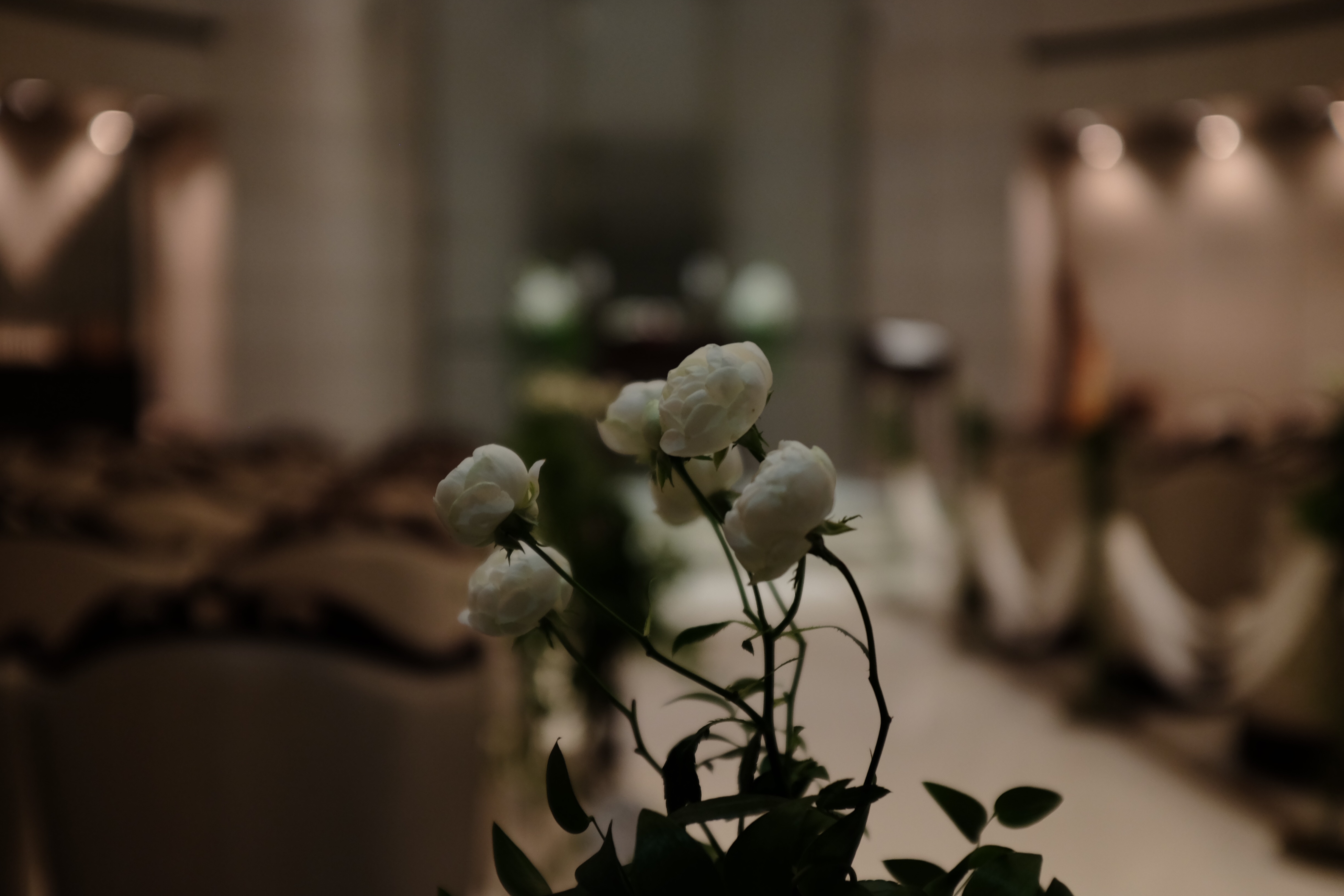 f:id:nnnaoki84:20150705090609j:image f:id:nnnaoki84:20150705090609j:image