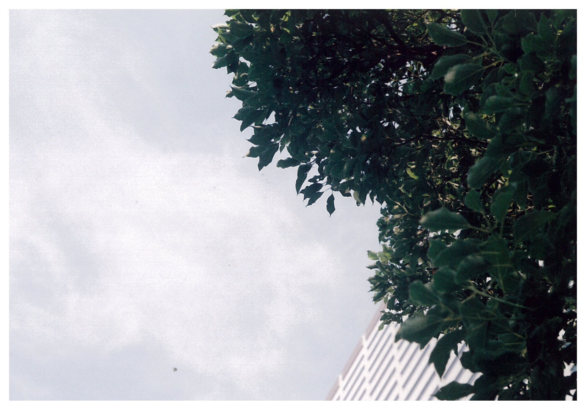 f:id:nnnaoki84:20150810203001j:image f:id:nnnaoki84:20150810203001j:image