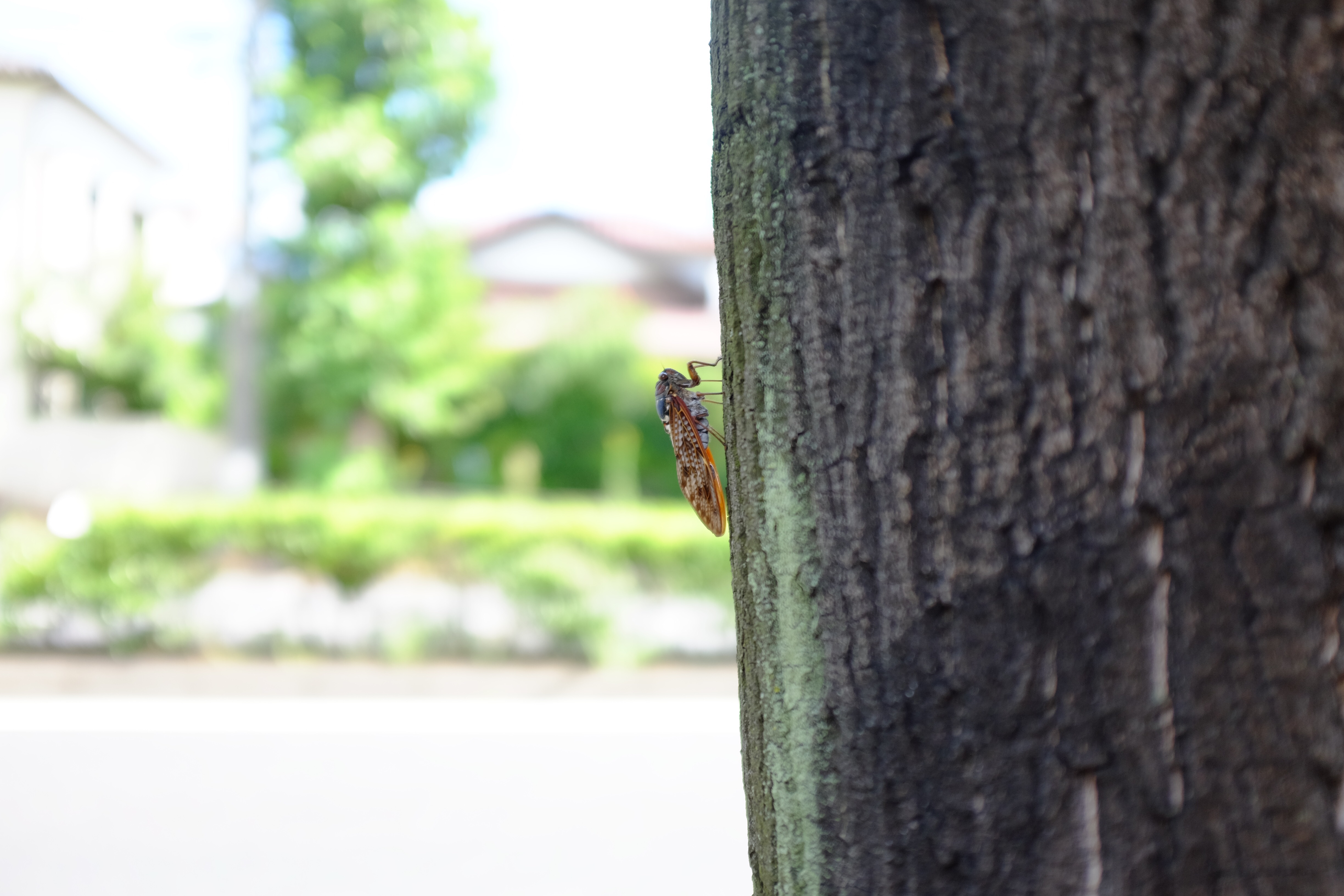 f:id:nnnaoki84:20150824210850j:image f:id:nnnaoki84:20150824210850j:image