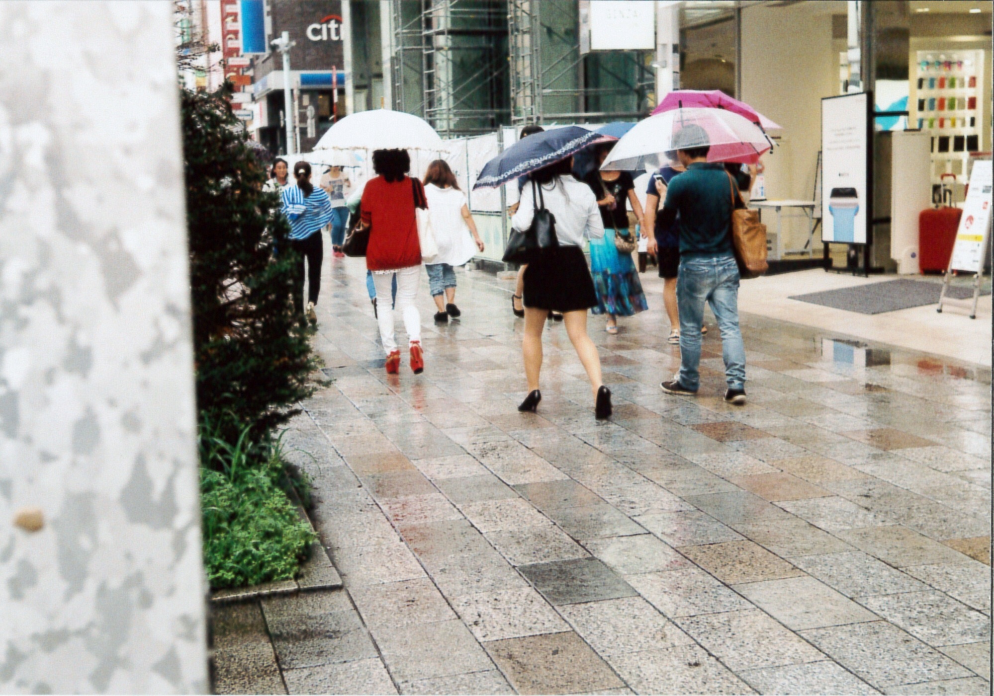 f:id:nnnaoki84:20150830073508j:image f:id:nnnaoki84:20150830073508j:image