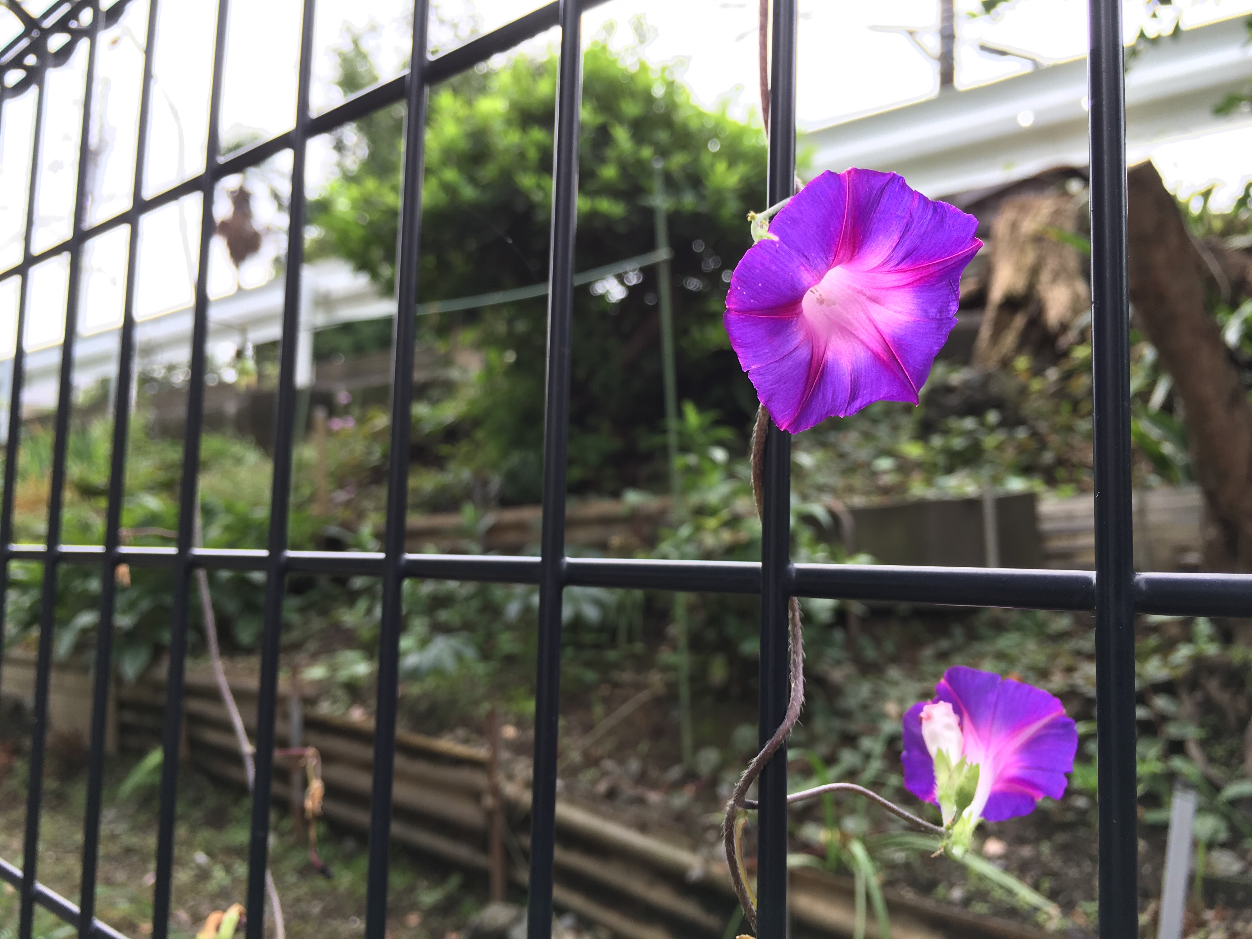 f:id:nnnaoki84:20150926184334j:image f:id:nnnaoki84:20150926184334j:image