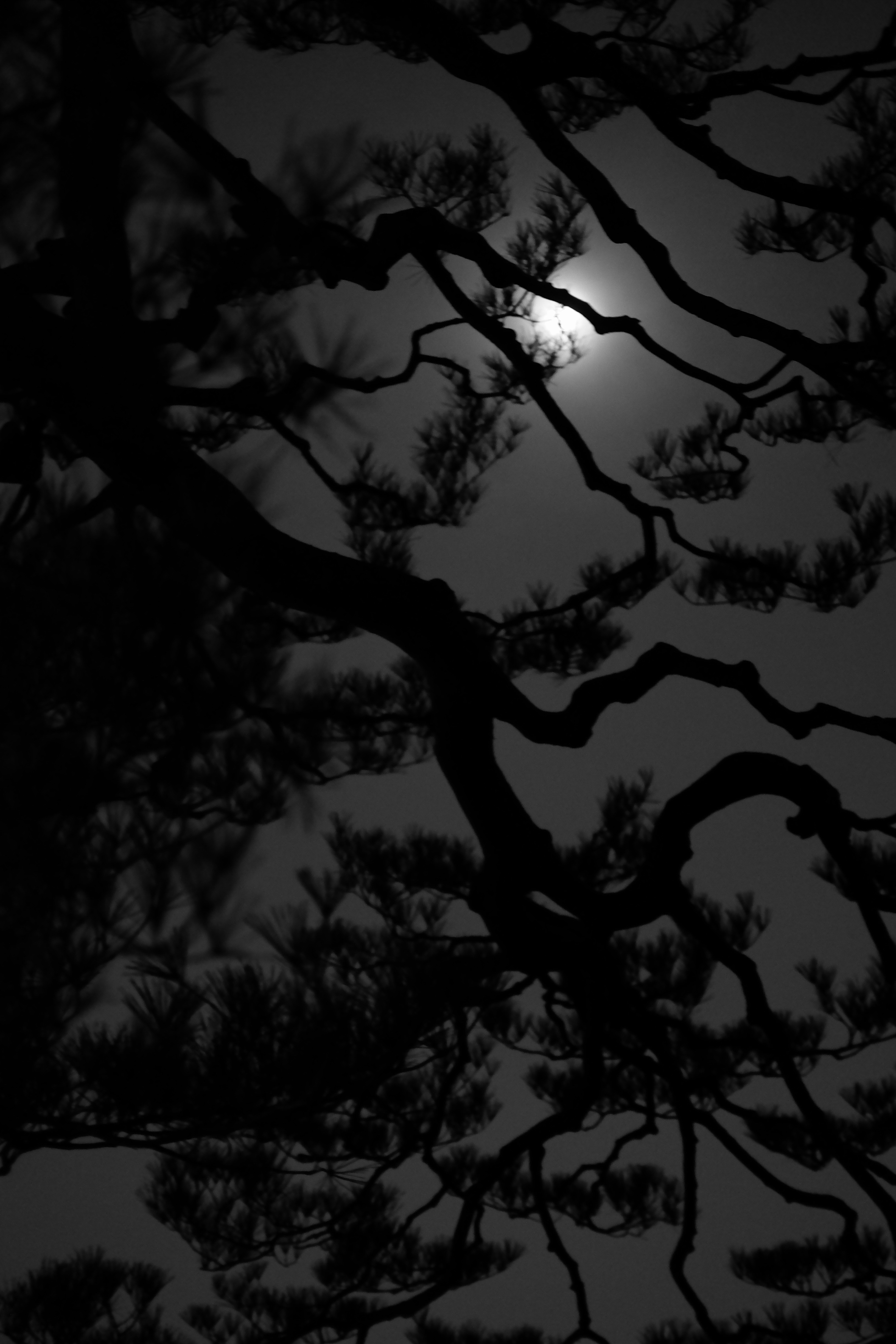 f:id:nnnaoki84:20151123132140j:image f:id:nnnaoki84:20151123132140j:image