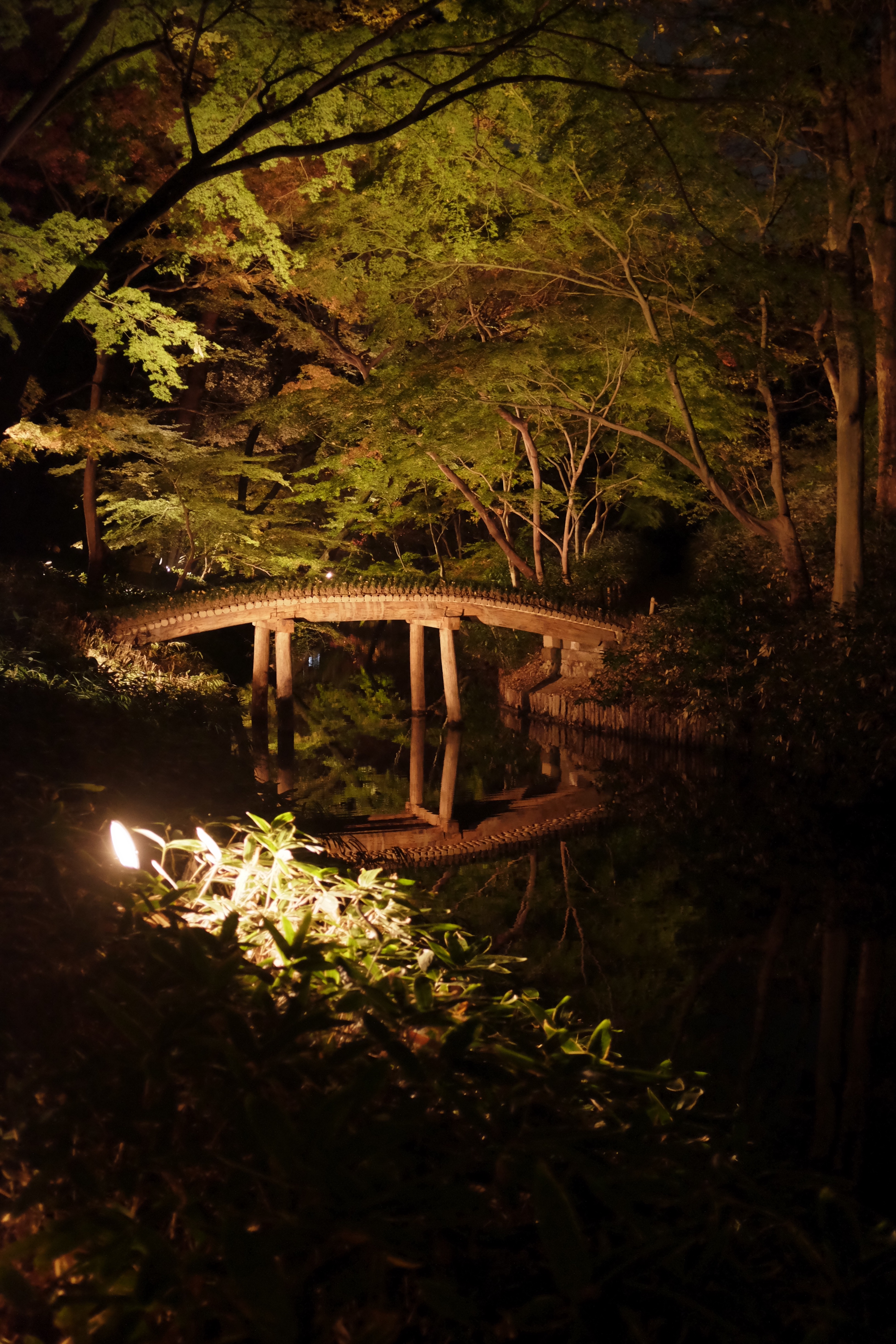 f:id:nnnaoki84:20151123132322j:image f:id:nnnaoki84:20151123132322j:image