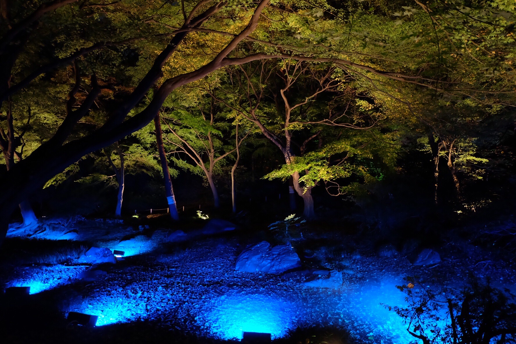 f:id:nnnaoki84:20151123132438j:image f:id:nnnaoki84:20151123132438j:image