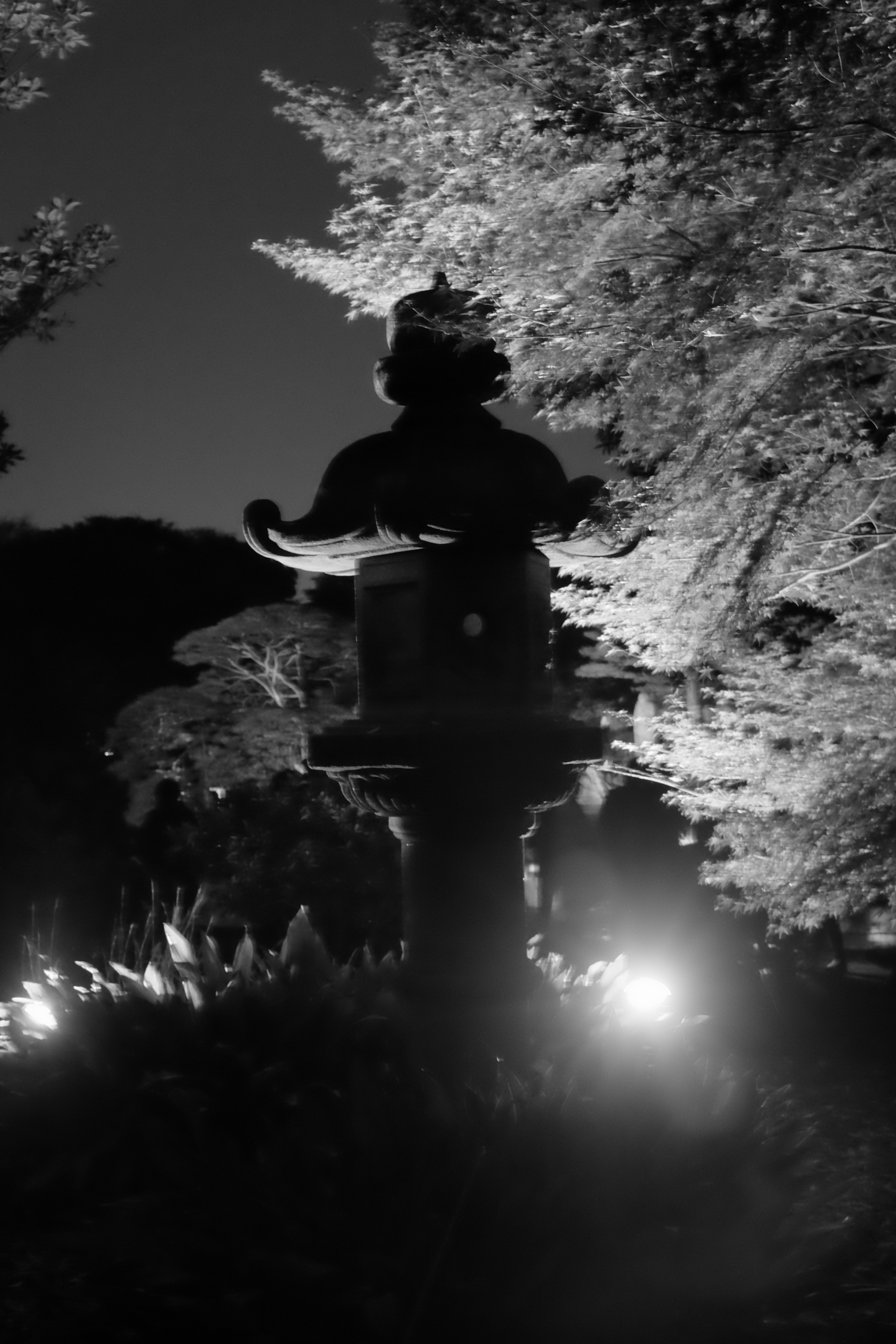 f:id:nnnaoki84:20151123132949j:image f:id:nnnaoki84:20151123132949j:image