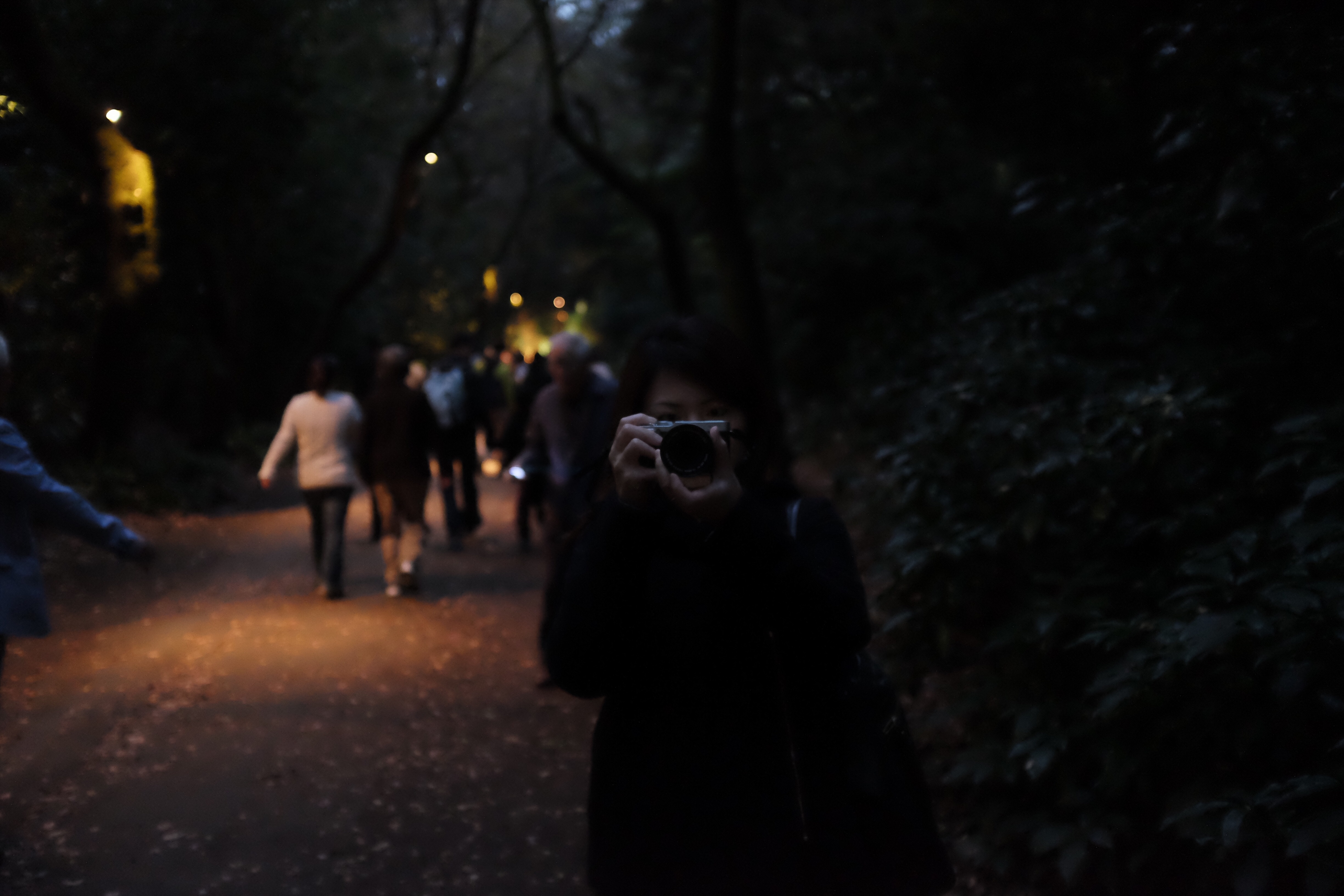 f:id:nnnaoki84:20151123133716j:image f:id:nnnaoki84:20151123133716j:image