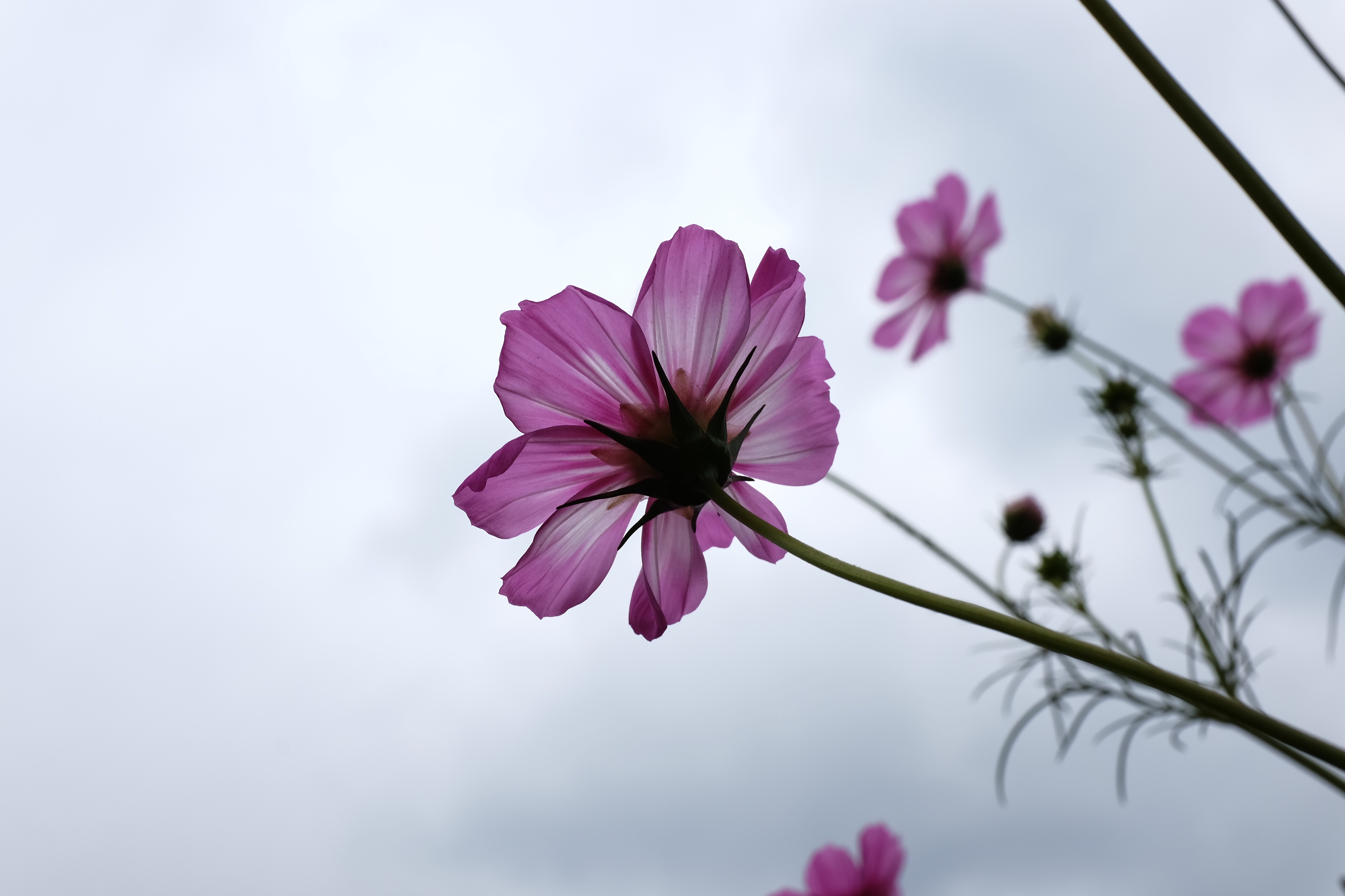 f:id:nnnaoki84:20151203123618j:image f:id:nnnaoki84:20151203123618j:image