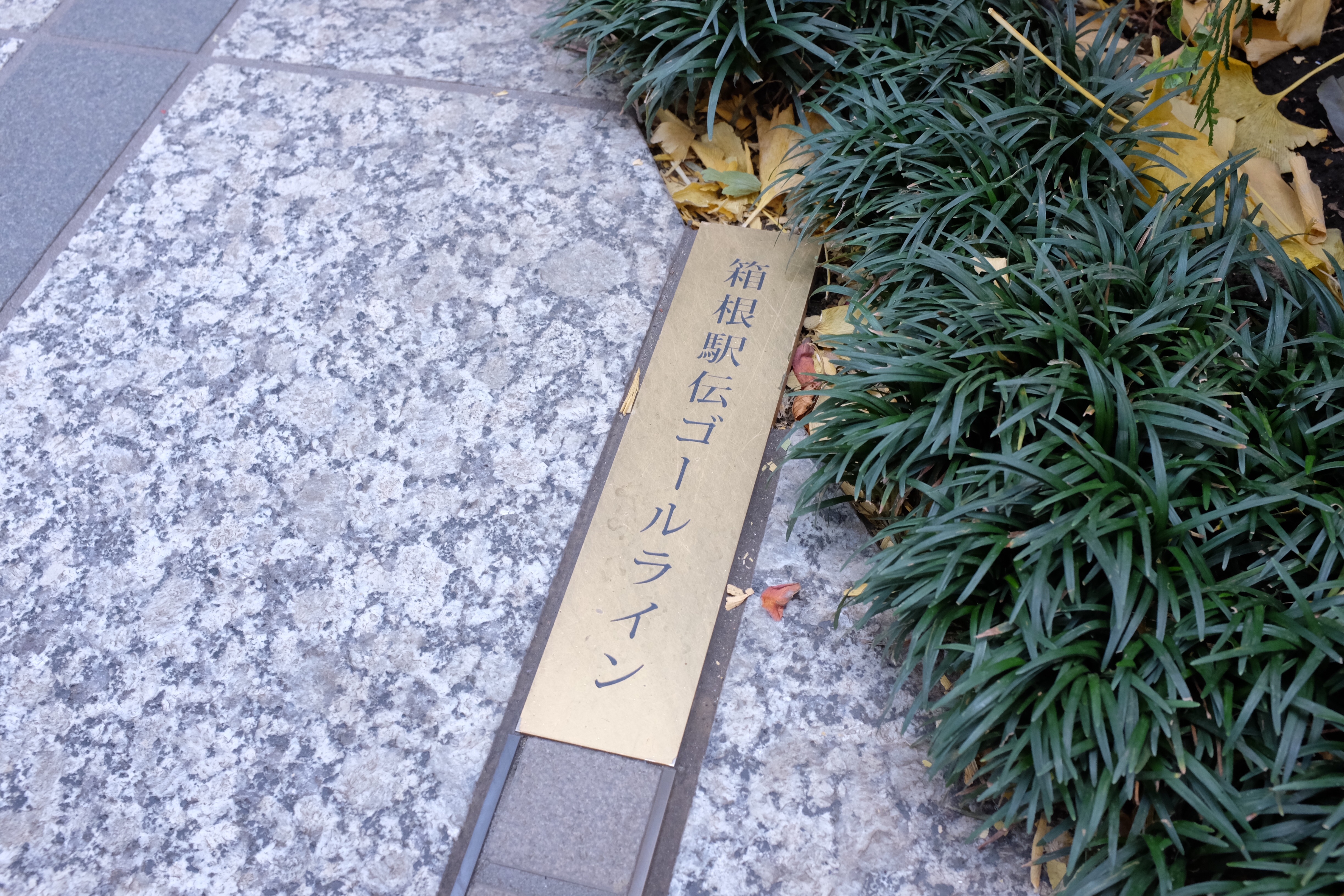 f:id:nnnaoki84:20151226205441j:image f:id:nnnaoki84:20151226205441j:image