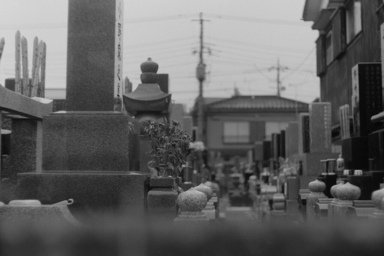f:id:nnnaoki84:20151229102448j:image f:id:nnnaoki84:20151229102448j:image