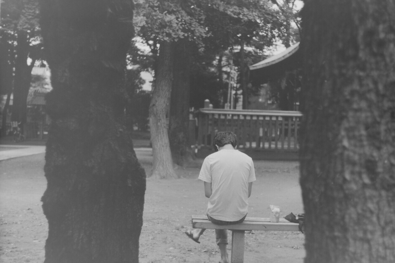 f:id:nnnaoki84:20151229102535j:image f:id:nnnaoki84:20151229102535j:image