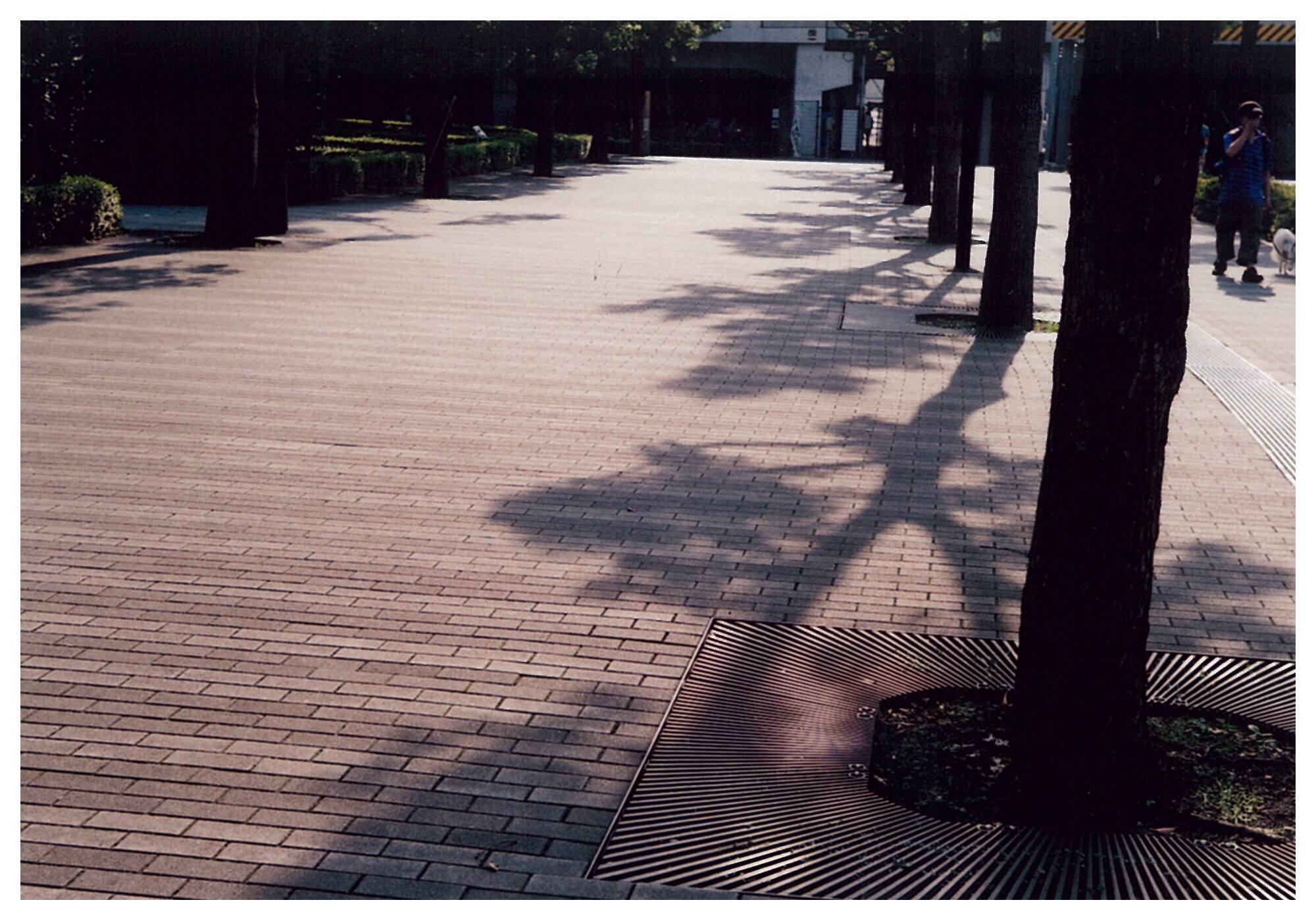 f:id:nnnaoki84:20151230153015j:image f:id:nnnaoki84:20151230153015j:image