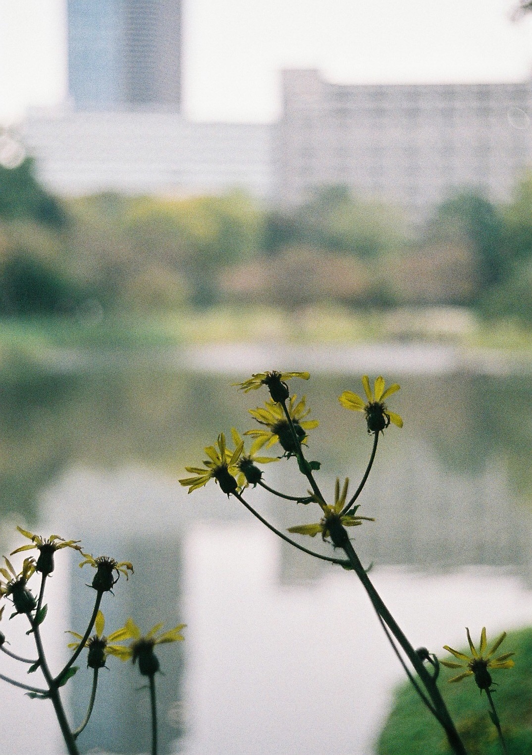 f:id:nnnaoki84:20151230162345j:image f:id:nnnaoki84:20151230162345j:image