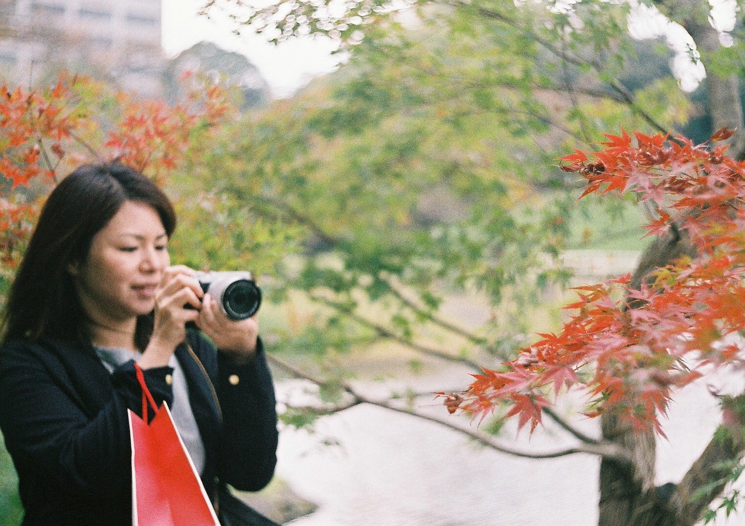 f:id:nnnaoki84:20151230162432j:image f:id:nnnaoki84:20151230162432j:image