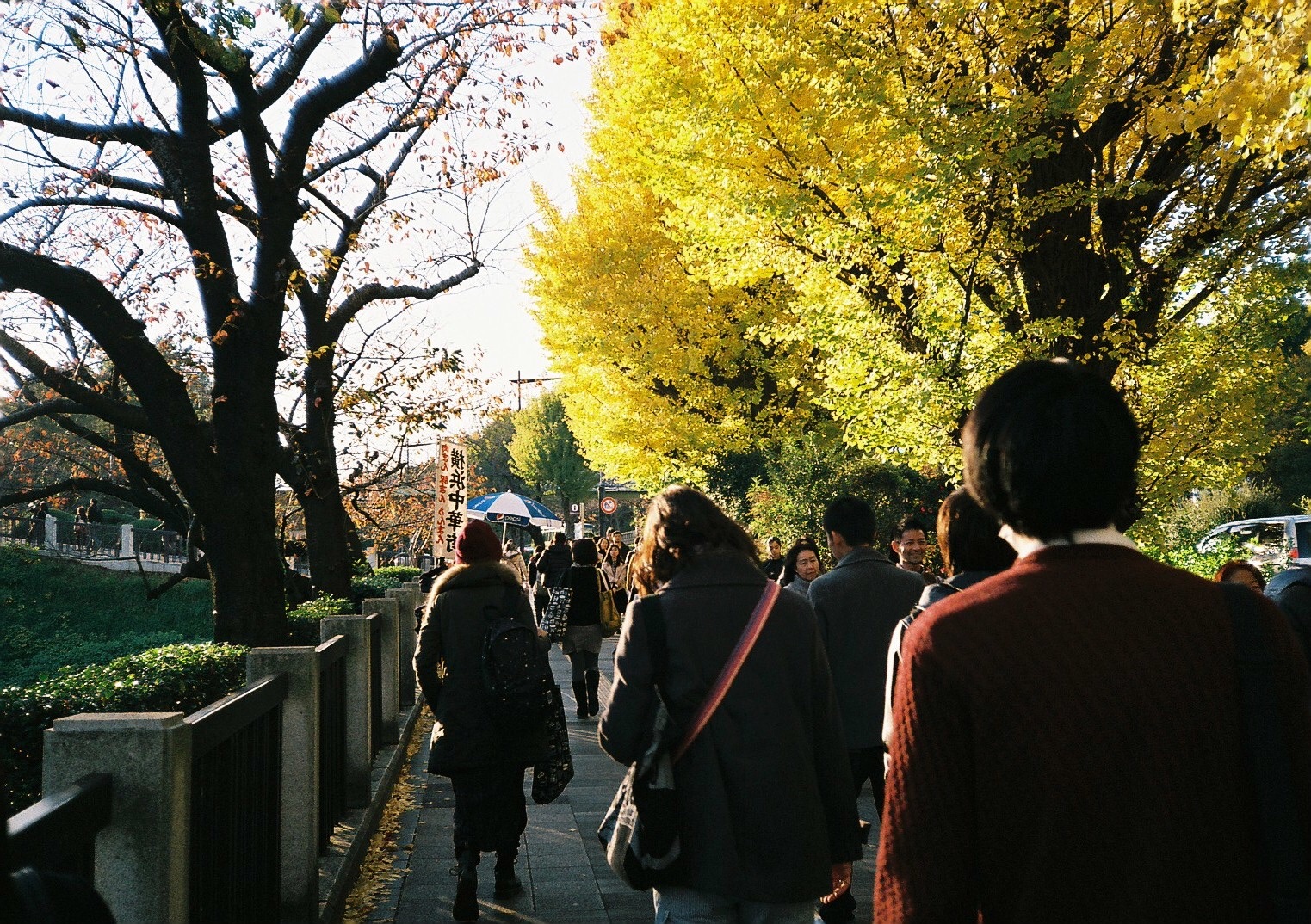 f:id:nnnaoki84:20151231072408j:image f:id:nnnaoki84:20151231072408j:image