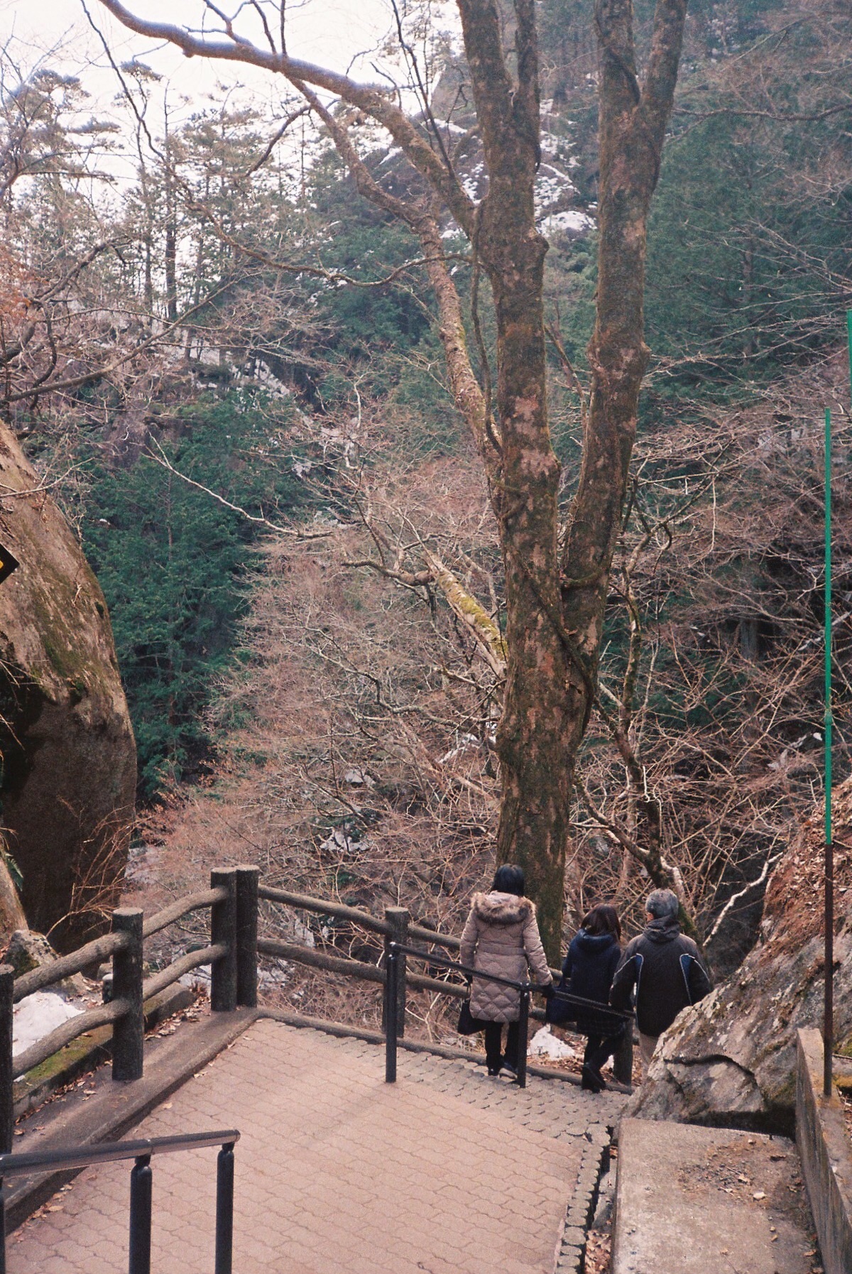 f:id:nnnaoki84:20160304124807j:image f:id:nnnaoki84:20160304124807j:image