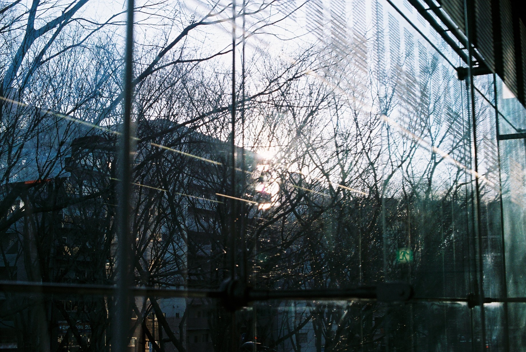 f:id:nnnaoki84:20160318094010j:image f:id:nnnaoki84:20160318094010j:image