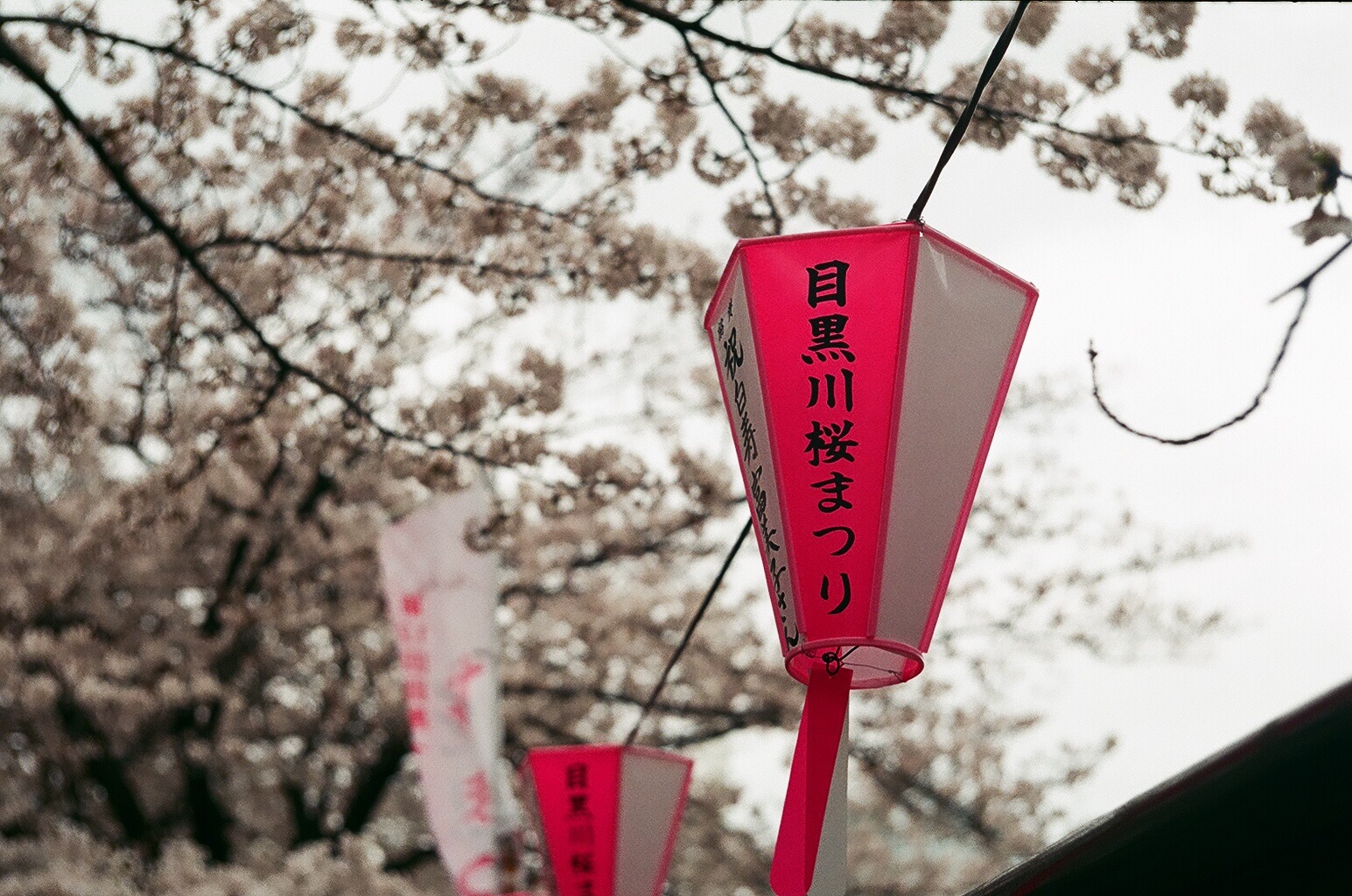f:id:nnnaoki84:20160415124208j:image f:id:nnnaoki84:20160415124208j:image