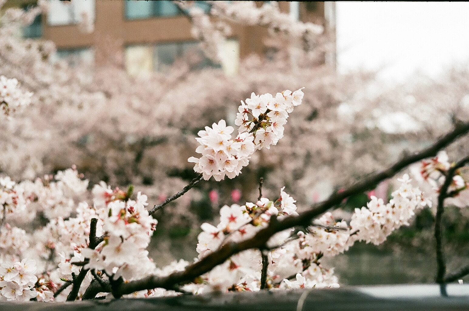 f:id:nnnaoki84:20160415125030j:image f:id:nnnaoki84:20160415125030j:image