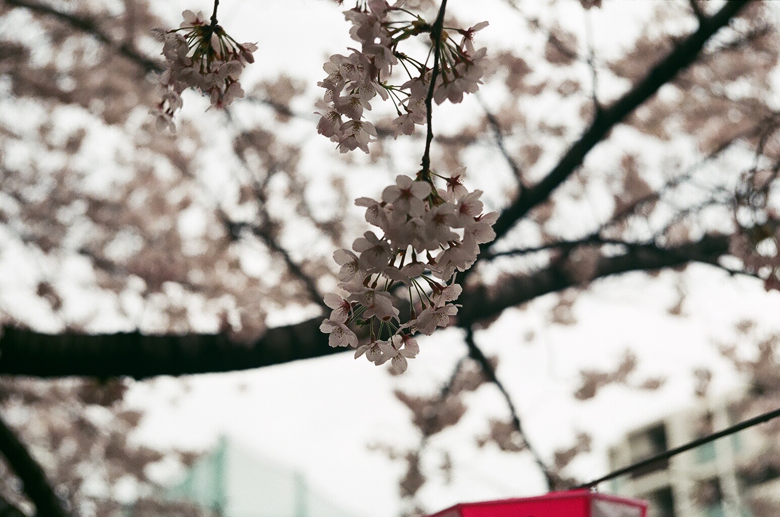 f:id:nnnaoki84:20160415125201j:image f:id:nnnaoki84:20160415125201j:image