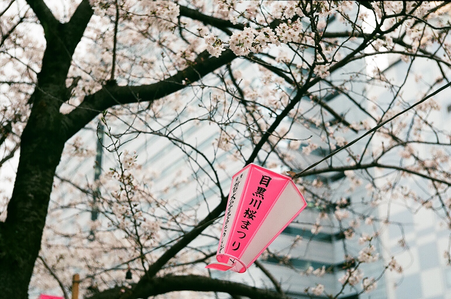 f:id:nnnaoki84:20160415125228j:image f:id:nnnaoki84:20160415125228j:image