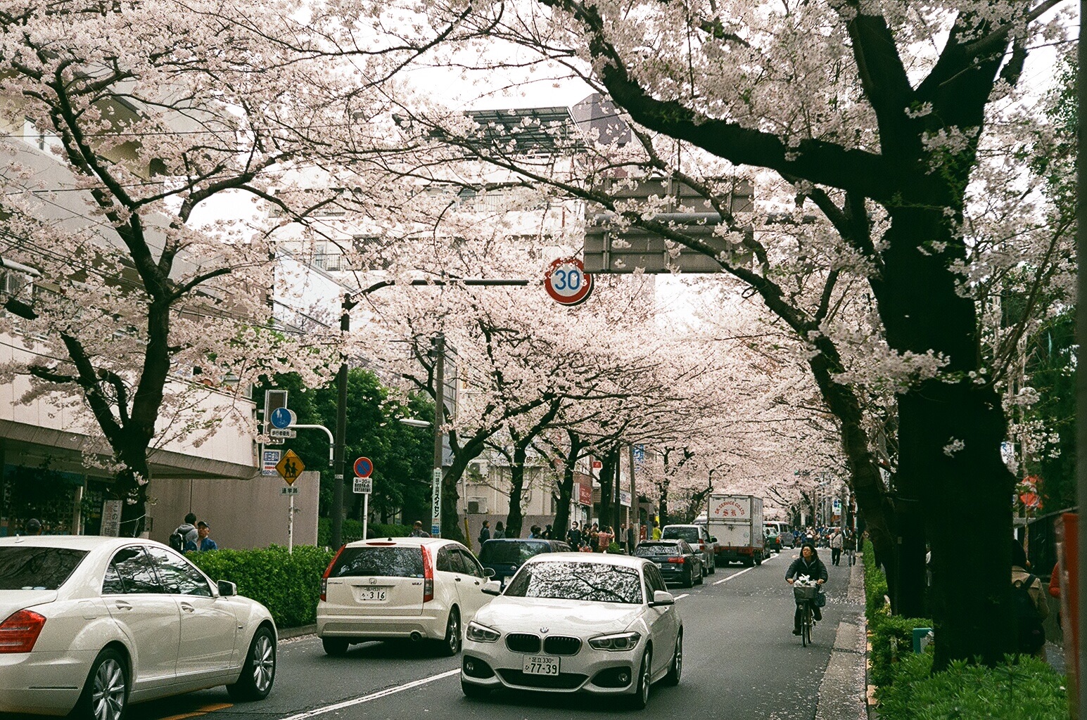 f:id:nnnaoki84:20160415125522j:image f:id:nnnaoki84:20160415125522j:image