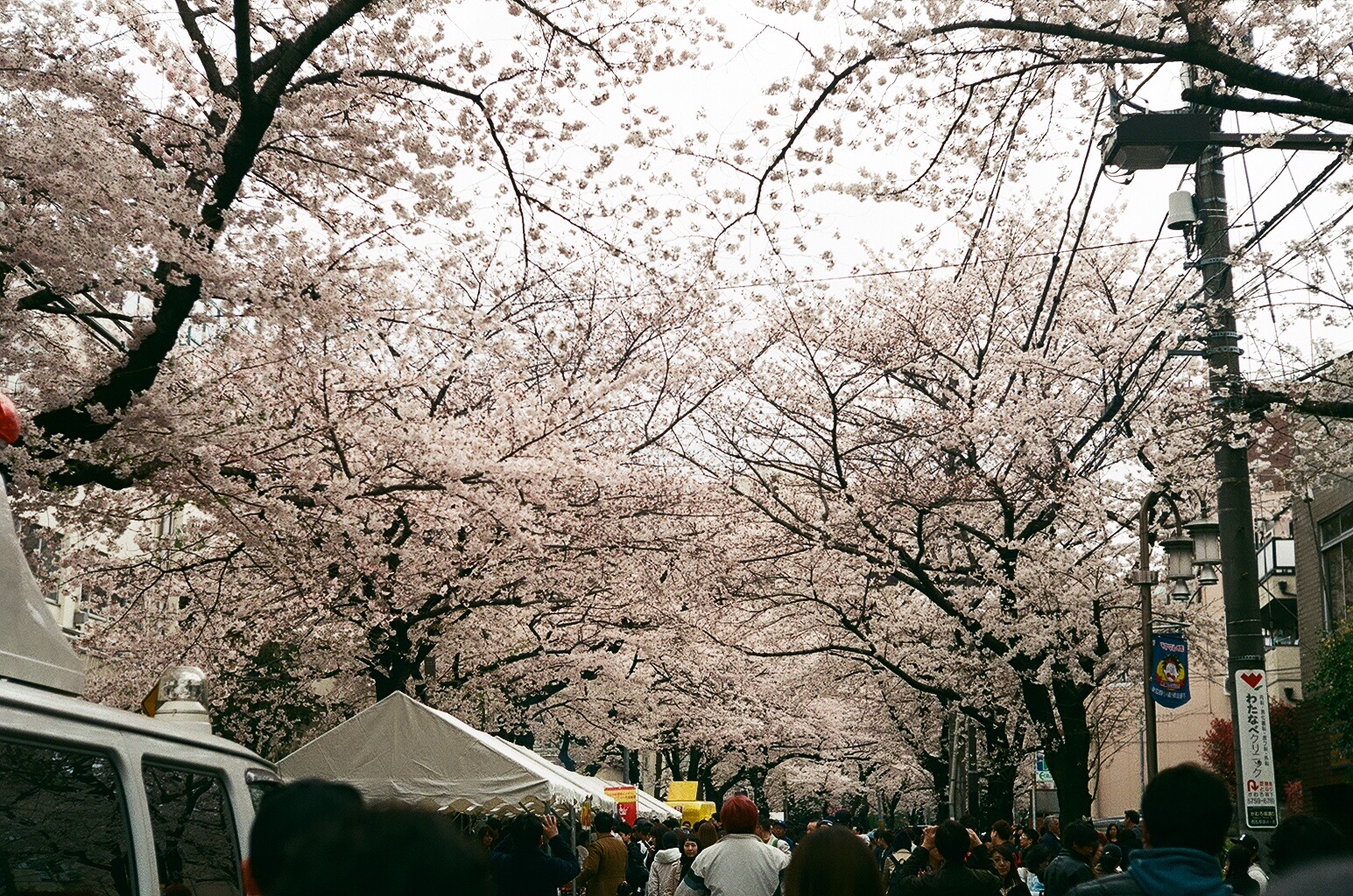 f:id:nnnaoki84:20160415125600j:image f:id:nnnaoki84:20160415125600j:image