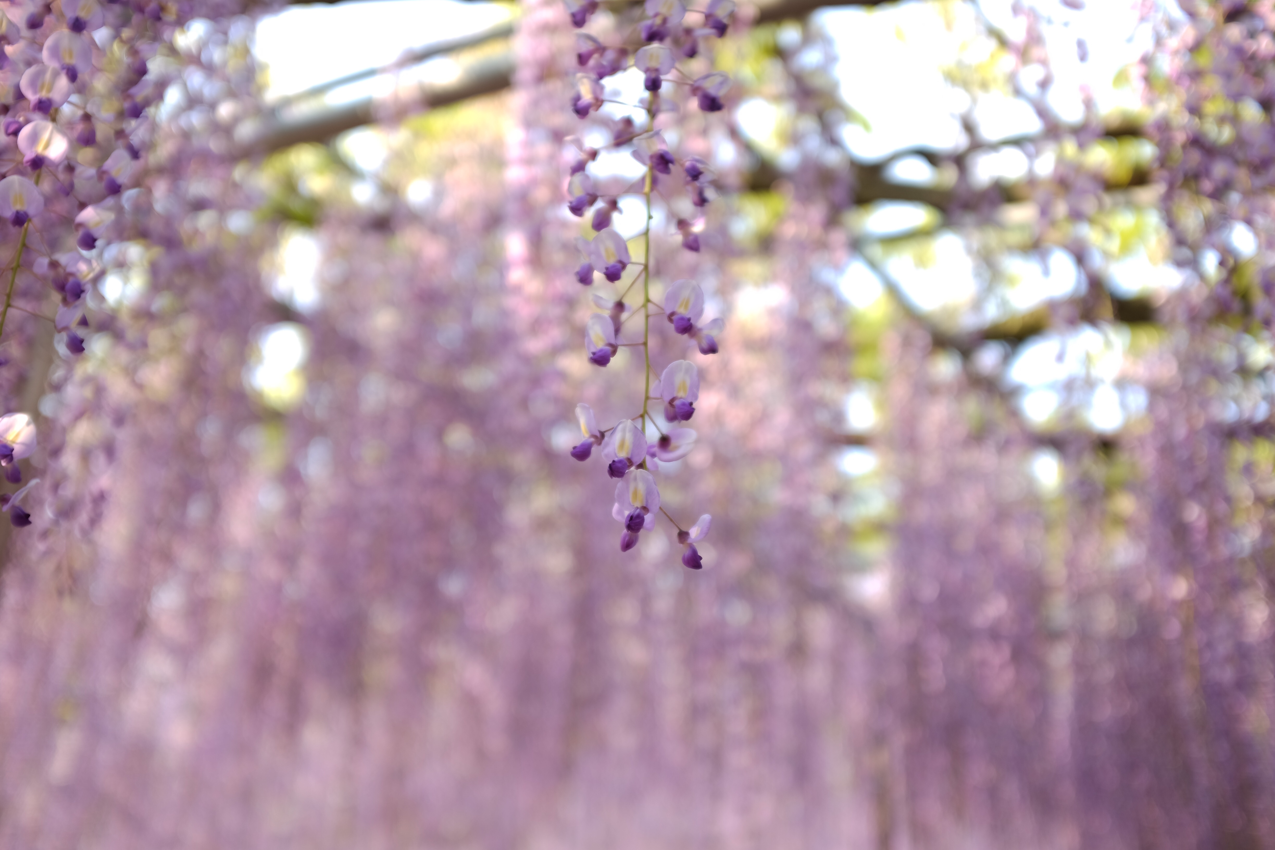 f:id:nnnaoki84:20160502120106j:image f:id:nnnaoki84:20160502120106j:image