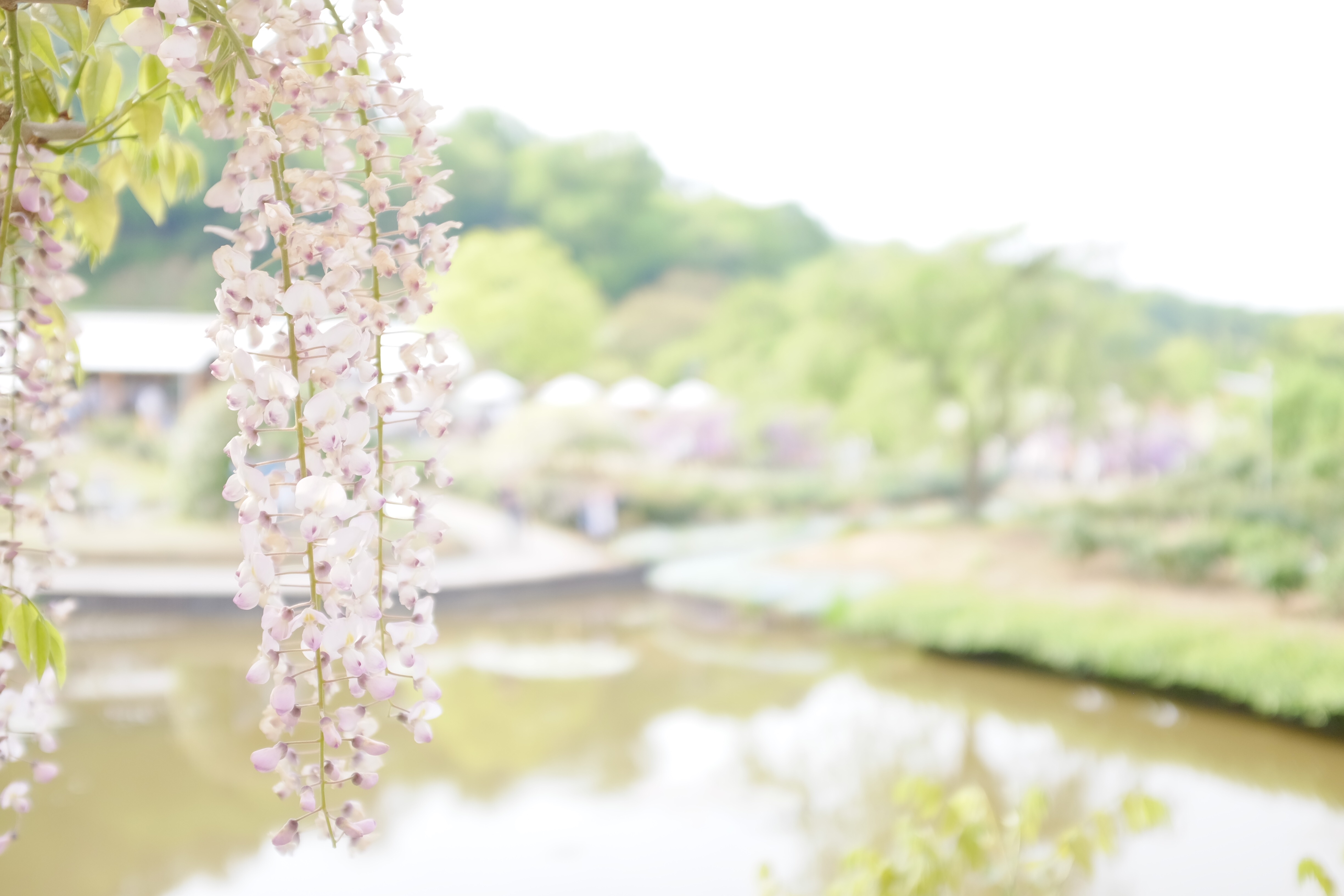 f:id:nnnaoki84:20160502120320j:image f:id:nnnaoki84:20160502120320j:image