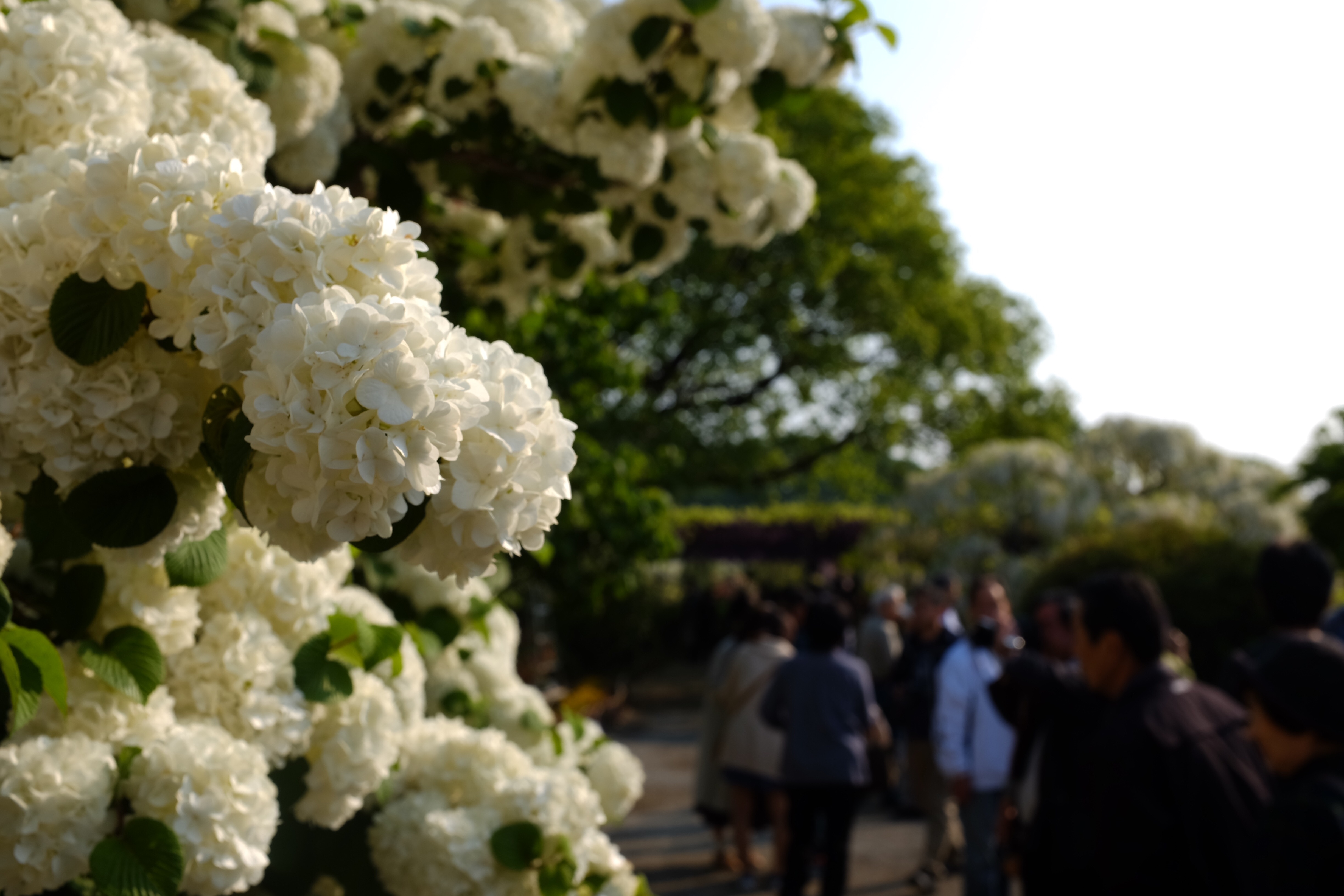 f:id:nnnaoki84:20160502120641j:image f:id:nnnaoki84:20160502120641j:image