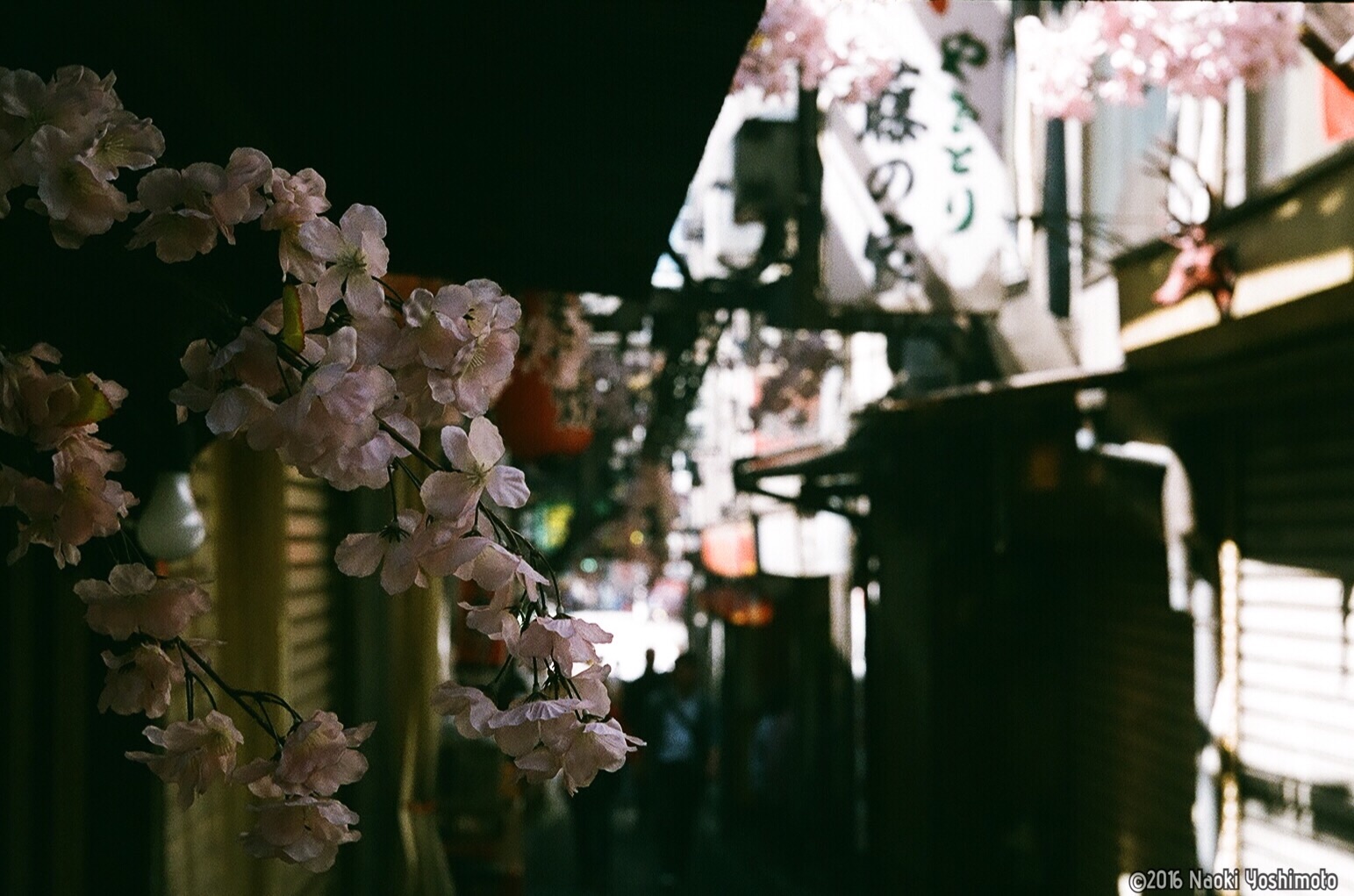 f:id:nnnaoki84:20160512124659j:image f:id:nnnaoki84:20160512124659j:image