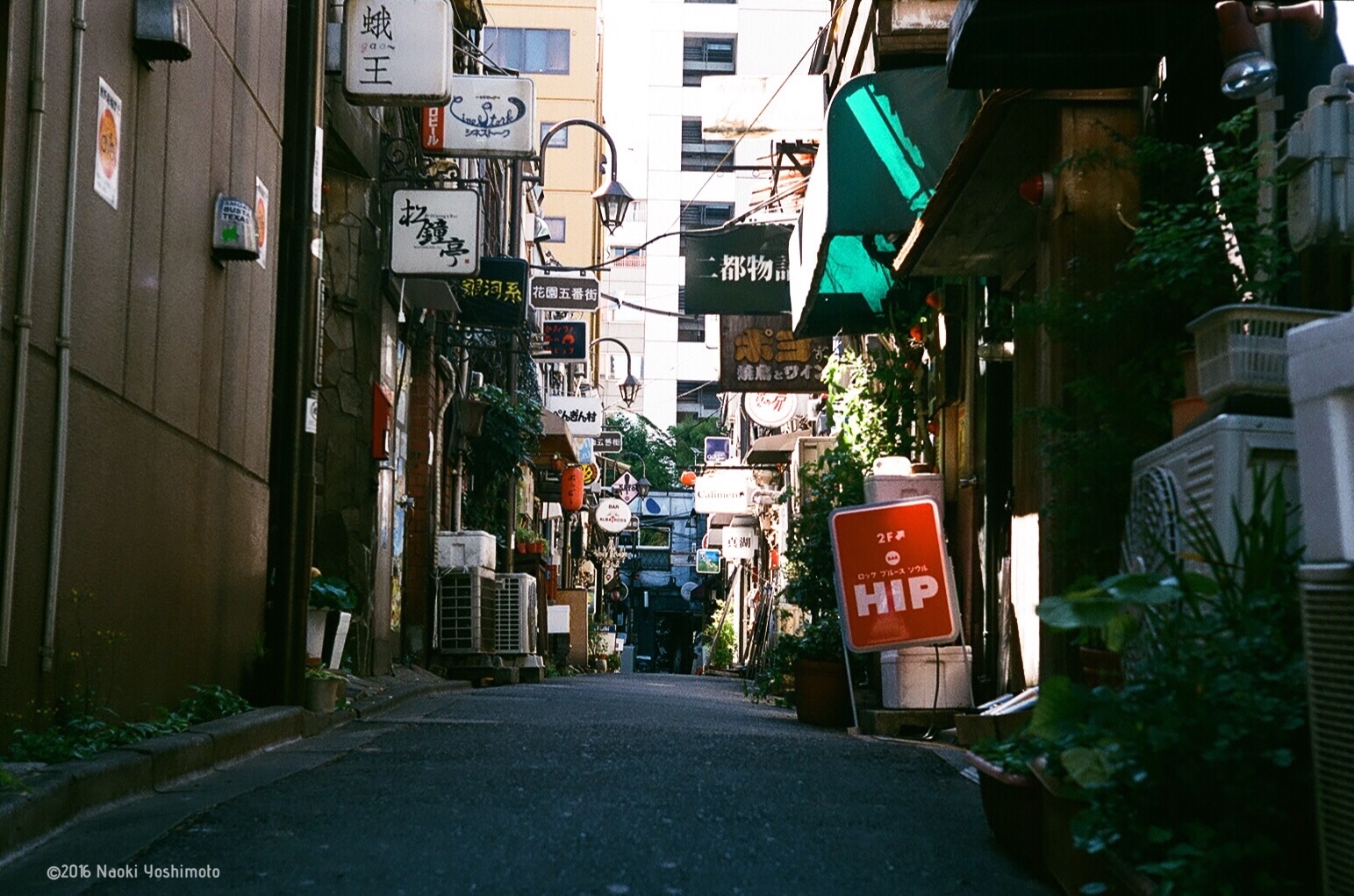 f:id:nnnaoki84:20160512125046j:image f:id:nnnaoki84:20160512125046j:image