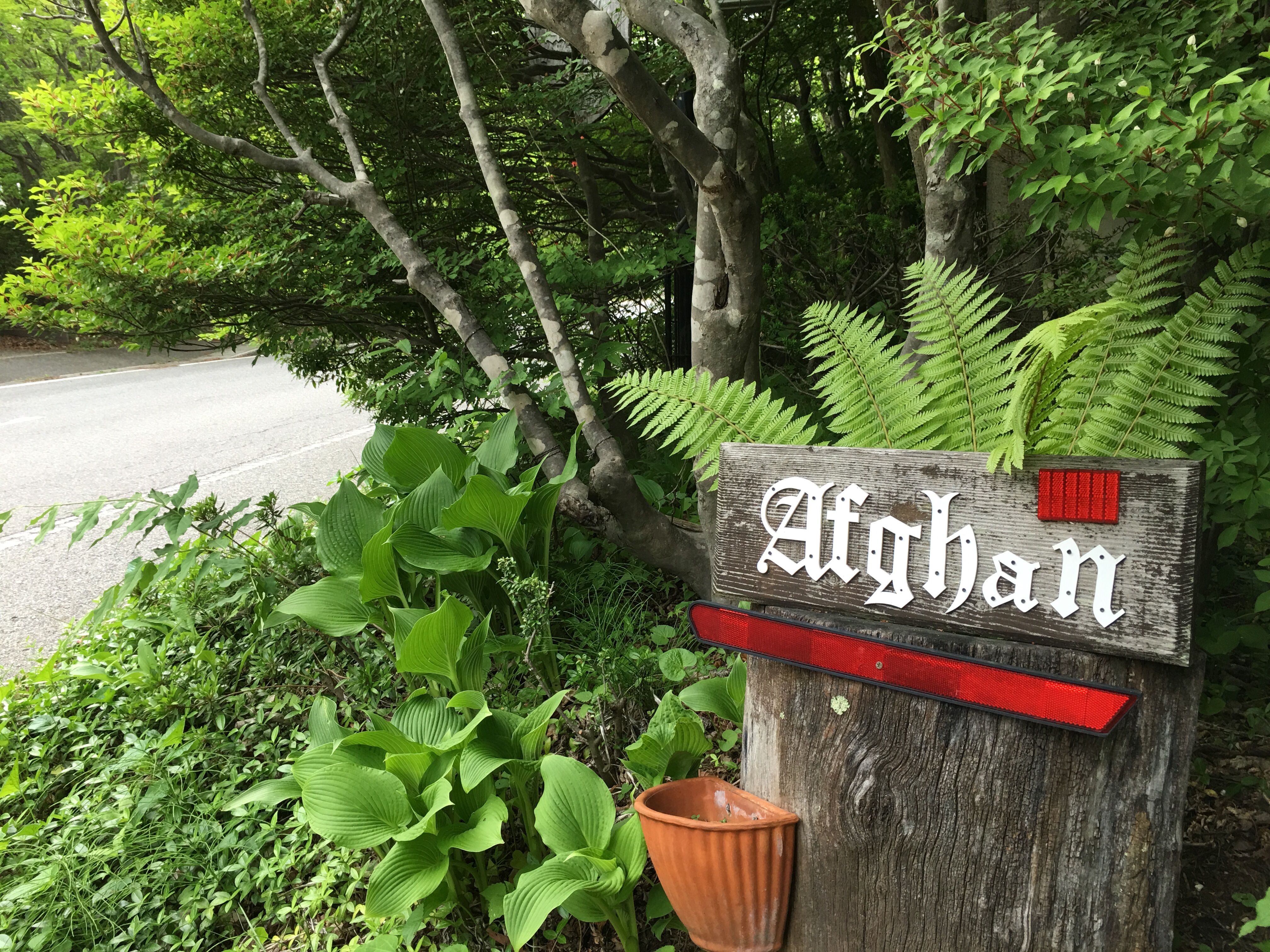 f:id:nnnaoki84:20160529205932j:image f:id:nnnaoki84:20160529205932j:image