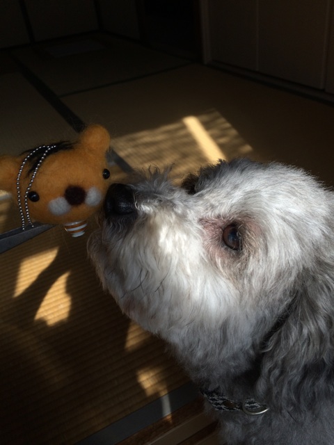 f:id:nnnnnaruuuuu:20141109130131j:plain f:id:nnnnnaruuuuu:20141109130131j:plain