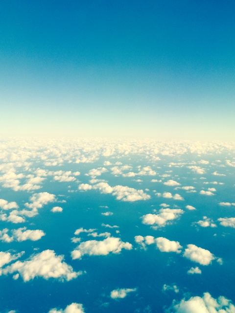 f:id:nnnnnaruuuuu:20141205161902j:plain f:id:nnnnnaruuuuu:20141205161902j:plain