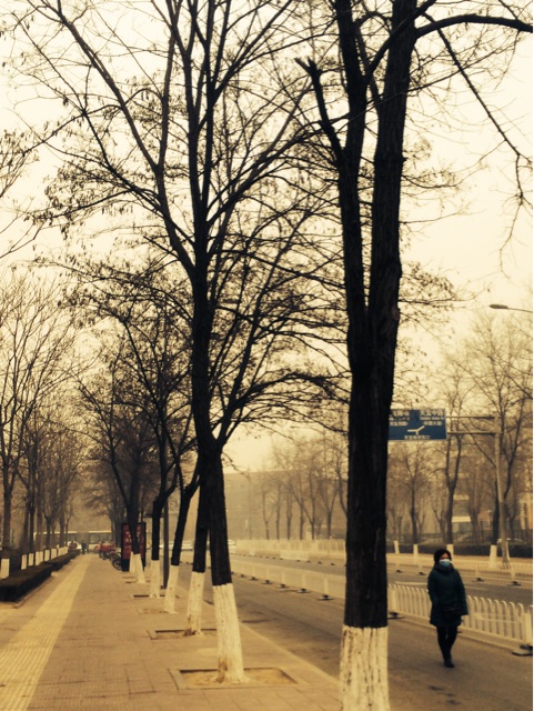 f:id:nnnnnaruuuuu:20150116225726j:plain f:id:nnnnnaruuuuu:20150116225726j:plain