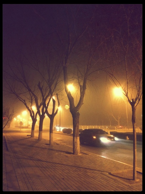 f:id:nnnnnaruuuuu:20150116225857j:plain f:id:nnnnnaruuuuu:20150116225857j:plain