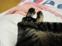 f:id:noahchan:20101016200533j:image f:id:noahchan:20101016200533j:image