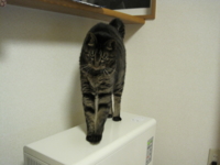 f:id:noahchan:20121204192345j:image f:id:noahchan:20121204192345j:image