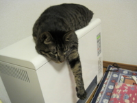 f:id:noahchan:20121204192346j:image f:id:noahchan:20121204192346j:image