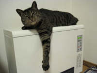 f:id:noahchan:20121204192348j:image f:id:noahchan:20121204192348j:image
