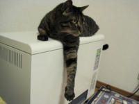 f:id:noahchan:20121204192349j:image f:id:noahchan:20121204192349j:image