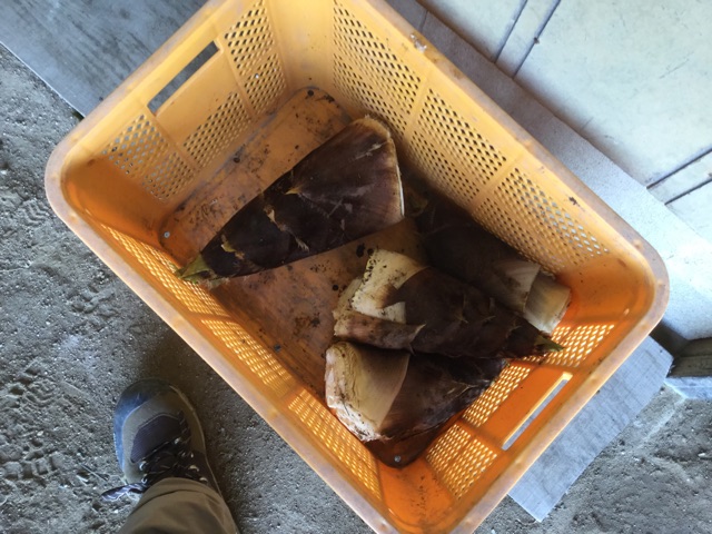 f:id:nobukicorner:20150409191621j:plain f:id:nobukicorner:20150409191621j:plain