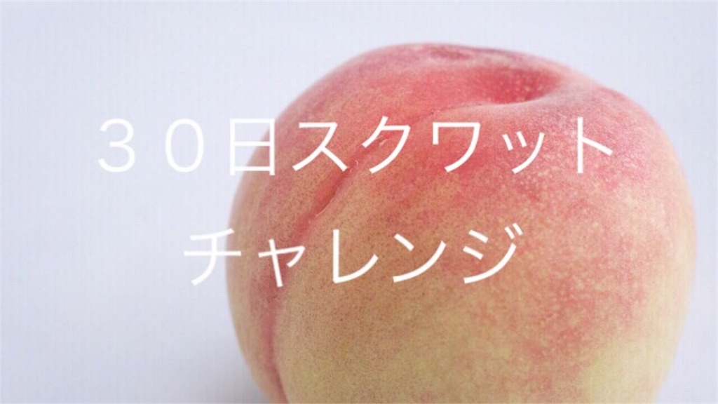 f:id:nocco35:20151210170827j:image f:id:nocco35:20151210170827j:image