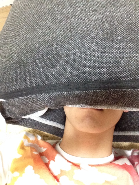 f:id:nodoame0141:20140818004954j:plain f:id:nodoame0141:20140818004954j:plain