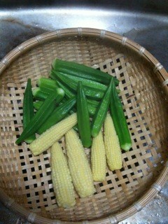 f:id:nogajika:20100524003949j:image f:id:nogajika:20100524003949j:image